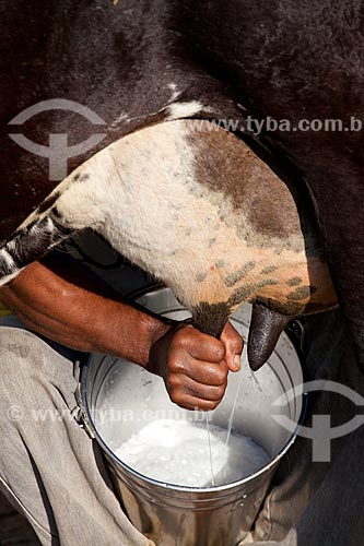  Assunto: Trabalhador rural tirando o leite da vaca na Estação Conhecimento da Área de Proteção Ambiental (APA) do Igarapé do Gelado  / Local:  próximo à cidade de Parauapebas - Pará - Brasil  / Data: 10/2010 