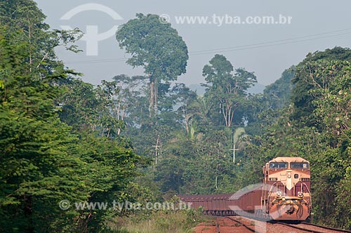  Assunto: Trem carregado de minério da companhia Vale - estrada de ferro Carajás -  em paisagem típica da Área de Proteção Ambiental (APA) do Igarapé do Gelado  / Local:  próximo à cidade de Parauapebas - Pará  - Brasil  / Data: 10/2010 