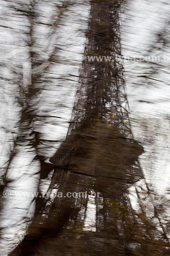 Assunto: Torre Eiffel  / Local:  Paris - França  / Data: 11/2010 