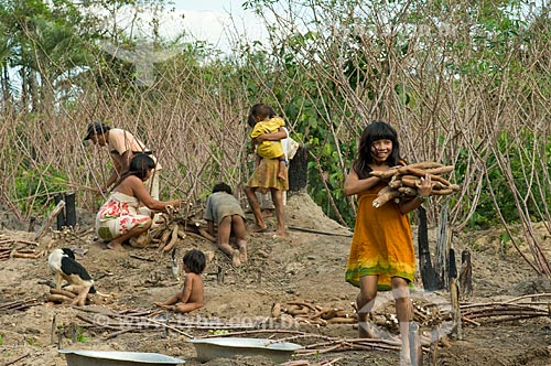  Assunto: Família colhendo mandioca - Adeia Kalapalo - Parque Indígena do Xingu  / Local:  Querência - Mato Grosso - MT  / Data: 07/2009 