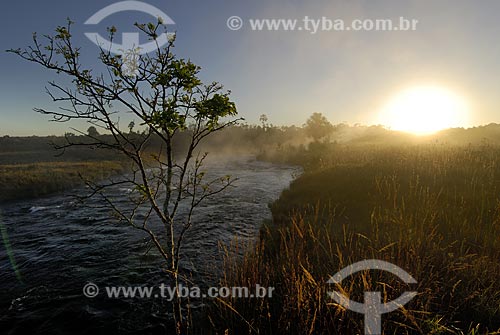  Assunto: Nascer do sol com neblina no Rio Formoso, o principal rio do Parque Nacional das Emas. / Local: Parque Nacional das Emas - Goiás (GO) - Brasil  / Data: 03 agosto 2006 
