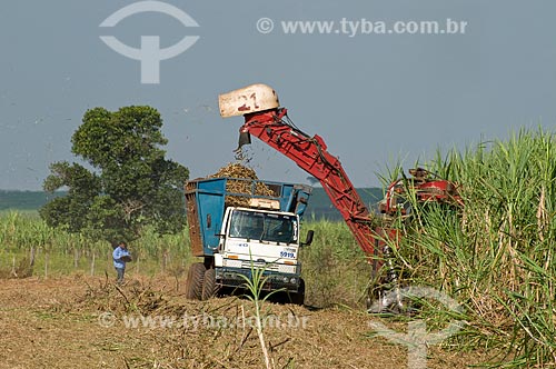  Assunto: Colheita mecanizada de cana-de-açúcar  / Local:  Promissão - São Paulo - SP  / Data: 04/2010 