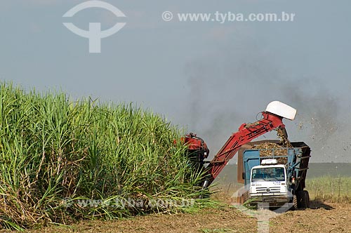  Assunto: Colheita mecanizada de cana-de-açúcar  / Local:  Promissão - São Paulo - SP  / Data: 04/2010 