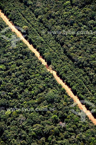  Assunto: Vista aérea de mata de transição na região de Canarana  / Local:  Canarana -  Mato Grosso - MT  / Data: 07/2009 
