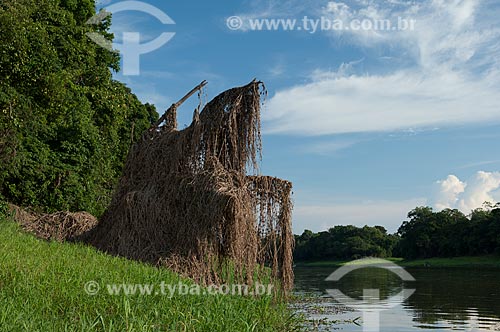  Assunto: Casa de pirarucu na beira do lago Mairauá, vegetação flutuante que se prende em galhos de árvores durante a estação seca  / Local:  Reserva de Desenvolvimento Sustentável Mamirauá - Amazonas - AM - Brasil  / Data: 2007 