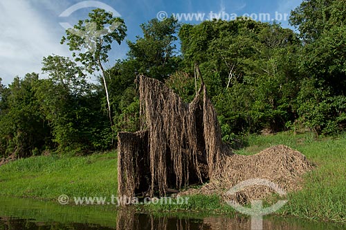  Assunto: Casa de pirarucu na beira do lago Mairauá, vegetação flutuante que se prende em galhos de árvores durante a estação seca  / Local:  Reserva de Desenvolvimento Sustentável Mamirauá - Amazonas - AM - Brasil  / Data: 2007 