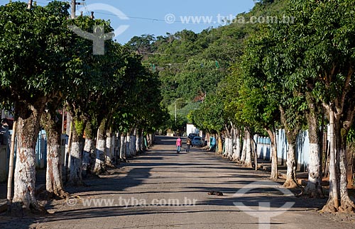  Assunto: Alameda de árvores em rua de Sebastião de Lacerda  / Local:  Distrito de Vassouras - Vale do Paraíba - Rio de Janeiro - RJ  / Data: 02/2011 