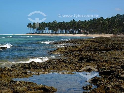  Assunto: Praia dos Carneiros - Costa dos Corais / Local: Tamandaré - Pernambuco (PE) - Brasil / Data: 03/2011 