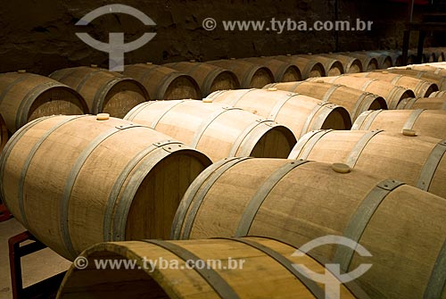  Assunto: Vista de uma vinícola / Local: Bento Golçalves - Rio Grande do Sul (RS) - Brasil / Data: 06/2009 