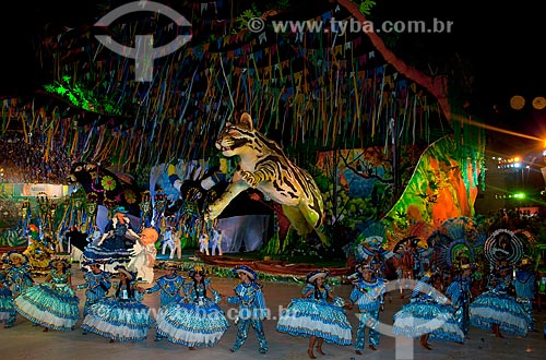  Assunto: Festival de Folclore de Parintins - Boi Caprichoso / Local: Parintins - Amazonas (AM) - Brasil / Data: 06/2010 