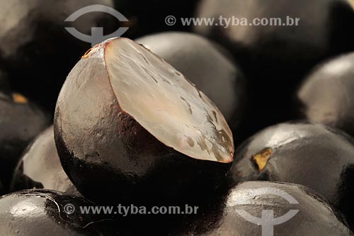  Assunto: Jabuticaba (Myrciaria cauliflora) / Local: Estúdio / Data: 12/2008 