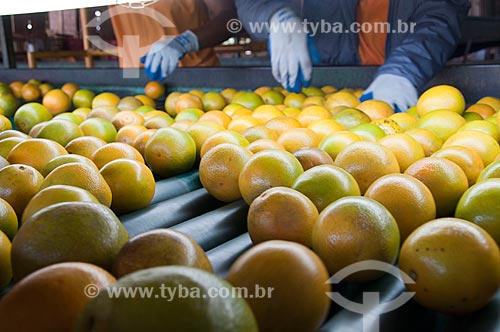 Assunto: Galpão de seleção de citros para mercado / Local: Limeira - São Paulo (SP) - Brasil / Data: 09/2010 