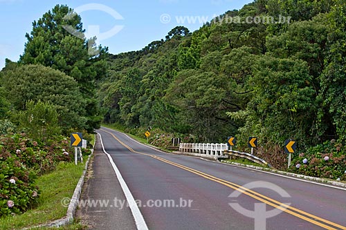  Assunto: Rodovia estadual RS 444 - Conhecida como Estrada do Vinho / Local: Rio Grande do Sul (RS) - Brasil / Data: 03/2011 