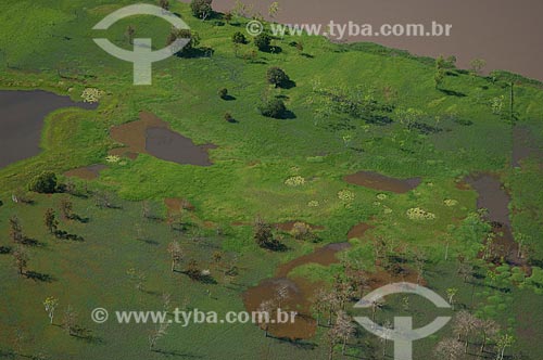  Assunto: Várzea do rio Amazonas perto do município de Careiro da Várzea  / Local: Careiro da Várzea - Amazonas (AM) - Brasil  / Data: 06/2007 
