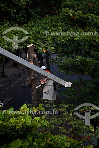  Assunto: Prefeitura realizando poda de árvore com plataforma suspensa  / Local: Copacabana - Rio de Janeiro (RJ) - Brasil / Data: 02/2011 