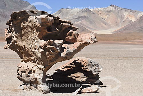  Assunto: Árbol de Piedra - Reserva nacional Eduardo Avaroa - A caminho do Salar de Uyuni / Local: Bolívia - América do Sul / Data: 01/2011 