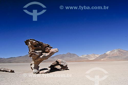  Assunto: Árbol de Piedra - Reserva nacional Eduardo Avaroa - A caminho do Salar de Uyuni / Local: Bolívia - América do Sul / Data: 01/2011 