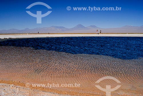  Assunto: Laguna Cejar com Vulcão Licancabur ao fundo - A concentração de sal do lago é maior que no Mar Morto e possui 22 metros de profundidade   / Local: Deserto de Atacama - Chile - América do Sul / Data: 01/2011 