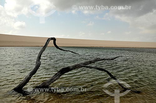  Assunto: Vista de lagoa e duna do Parque Nacional dos Lençóis Maranhenses / Local: Barreirinhas - Maranhão (MA) - Brasil / Data: 07/2011 