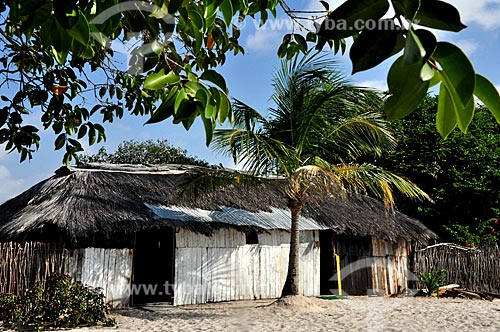  Assunto: Vista de uma casa de palha / Local: Vilarejo Queimada dos Britos - Maranhão (MA) - Brasil / Data: 07/2011 