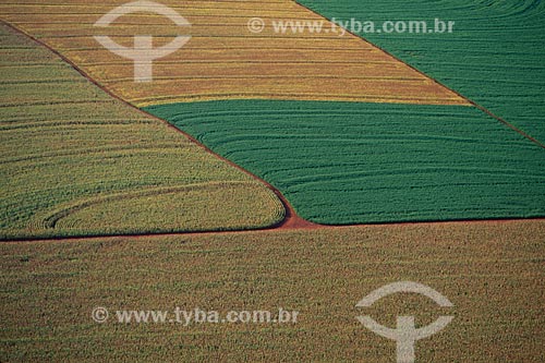  Assunto: Plantação de milho e soja / Local: Campo Mourão - Paraná  (PR) - Brasil / Data: 2008 