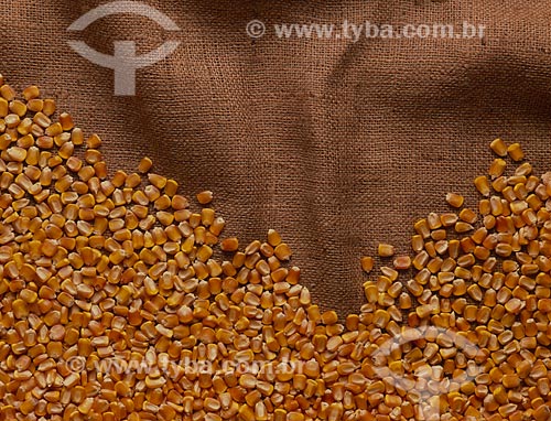  Assunto: Grãos de trigo / Local: Rio Grande do Sul (RS) - Brasil / Data: 2008 
