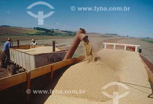  Assunto: Descarregamento de soja em caminhão / Local: Santo Angelo - Rio Grande do Sul - Brasil / Data: 2005 
