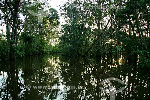  Assunto: Igarapé no Rio Amazonas / Local: Parintins - Amazonas (AM) - Brasil / Data: 06/2011 