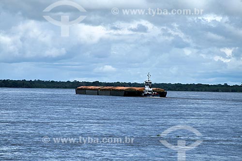  Assunto: Balsa de transporte no Rio Amazonas / Local: Itacoatiara - Amazonas (AM) - Brasil / Data: 06/2011 