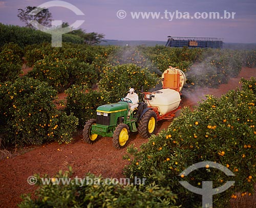  Assunto: Pulverização de plantação de laranjas / Local: São Carlos - São Paulo (SP) - Brasil / Data: 2007 