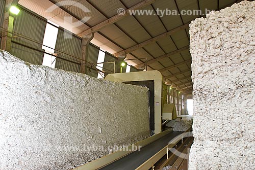  Assunto: Processamento de algodão na Fazenda Planalto  Costa Rica / Local: Costa Rica - Mato Grosso do Sul (MS) - Brasil / Data: 2010 