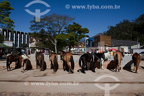  Assunto: Aluguel de cavalos para passeio na Praça dos Suspiros / Local: Nova Friburgo - Rio de Janeiro (RJ) - Brasil / Data: 06/2011 