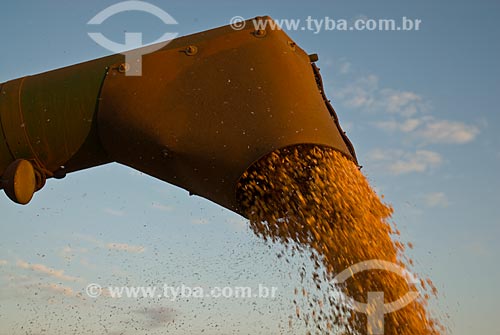  Assunto: Descarregamento de soja na Fazenda Planalto / Local: Costa Rica - Mato Grosso do Sul (MS) - Brasil / Data: 07/2010 