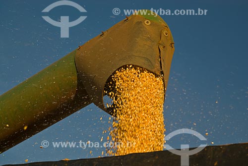  Assunto: Descarregamento de milho / Local: Costa Rica - Mato Grosso do Sul (MS) - Brasil / Data: 07/2010 