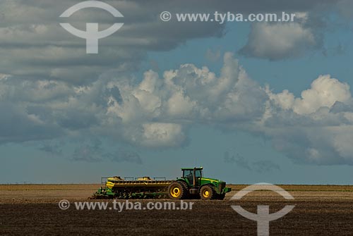  Assunto: Plantação de soja  / Local: Distrito Baús - Costa Rica - Mato Grosso do Sul (MS) - Brasil / Data: 02/2010 