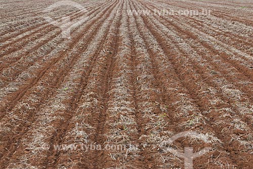  Assunto: Terra preparada para plantio / Local: Distrito Baús - Costa Rica - Mato Grosso do Sul (MS) - Brasil / Data: 02/2010 