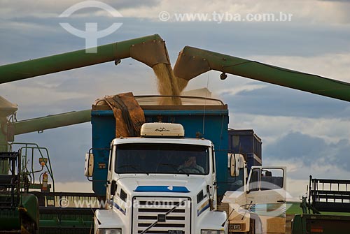  Assunto: Descarregamento de soja em caminhão / Local: Diamantino - Mato Grosso (MT) - Brasil / Data: 02/2010 