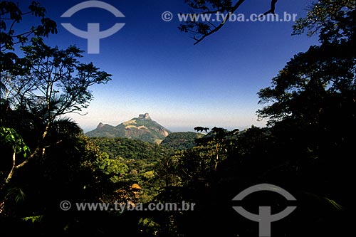  Assunto: Pedra da Gavea vista da Floresta da Tijuca / Local: Rio de Janeiro (RJ) - Brasil / Data: 11/2005 