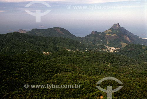  Assunto: Pedra da Gavea vista da Floresta da Tijuca / Local: Rio de Janeiro (RJ) - Brasil / Data: 11/2004 