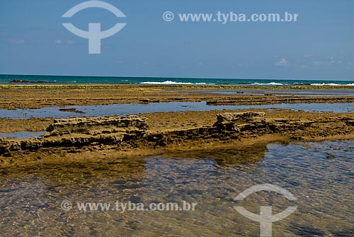  Assunto: Piscinas naturais nos arrecifes da Praia do Muro Alto   / Local: Ipojuca - Pernambuco (PE) - Brasil / Data: 10/2011 