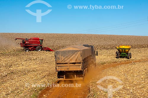  Assunto: Colheita de milho / Local: Capão Bonito do Sul - Rio Grande do Sul (RS) - Brasil / Data: 04/2011 