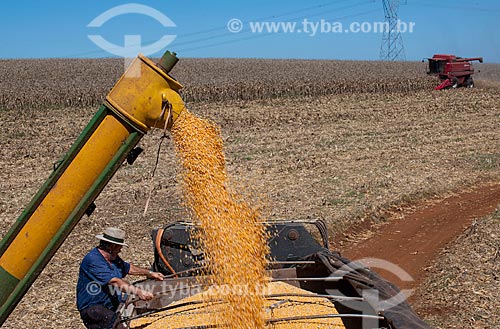  Assunto: Descarregamento de milho / Local: Capão Bonito do Sul - Rio Grande do Sul (RS) - Brasil / Data: 04/2011 