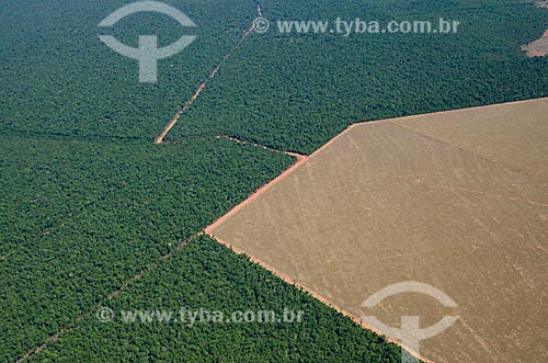 Assunto: Vista aérea de área preservada e área desmatada para agropecuária no meio de cerradão / Local: Querência - Mato Grosso (MT) - Brasil / Data: 07/2011 