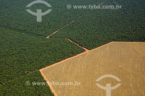  Assunto: Vista aérea de área preservada e área desmatada para agropecuária no meio de cerradão / Local: Querência - Mato Grosso (MT) - Brasil / Data: 07/2011 