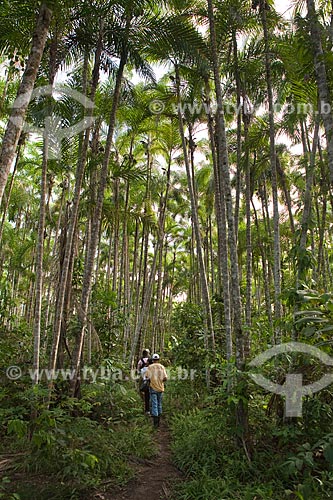 Assunto: Projeto Encauchados Vegetais - seringueiros em trilha na floresta - Reserva Extrativista Cazumbá / Local: Sena Madureira - Acre (AC) - Brasil / Data: 11/2011 