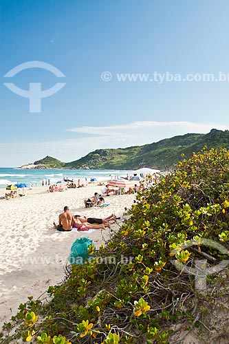  Assunto: Praia Mole - uma das praias mais movimentadas da Ilha de Santa Catarina durante o verão / Local: Florianópolis - Santa Catarina (SC) - Brasil / Data: 12/2011 