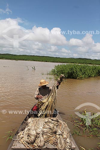  Assunto: Colheita e transporte de Juta no Rio Amazonas / Local: Manacapuru - Amazonas (AM) - Brasil / Data: 01/2012 