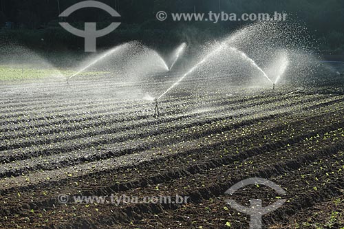  Assunto: Irrigação em plantação de hortaliças na Região Serrana Fluminense - Estrada Teresópolis-Friburgo  / Local: Vargem Grande - Teresópolis - Rio de Janeiro (RJ) - Brasil / Data: 02/2012 
