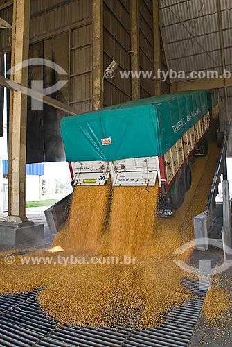  Assunto: Descarregamento de soja em galpão / Local: Rosário - Província Santa Fé - Argentina - América do Sul / Data: 02/2009 