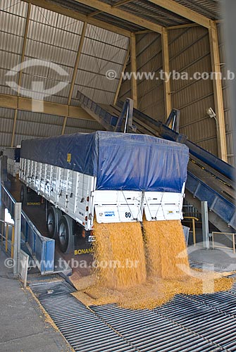  Assunto: Descarregamento de soja em galpão / Local: Rosário - Província Santa Fé - Argentina - América do Sul / Data: 02/2009 